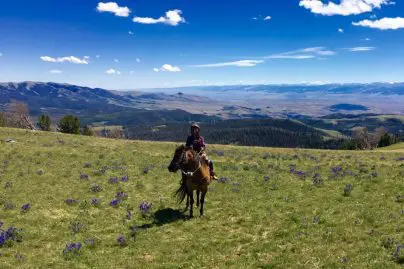 horse packing trips wyoming