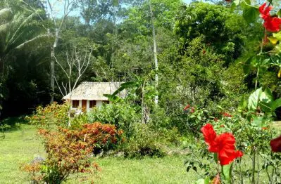 Mayan Jungle Ride- enjoy tropical paradise while horseback riding in Belize