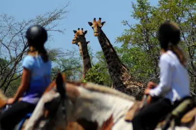 globetrotters travel horseback