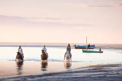 horseback riding tours vermont