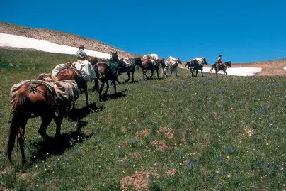 Pack trip in Wyoming