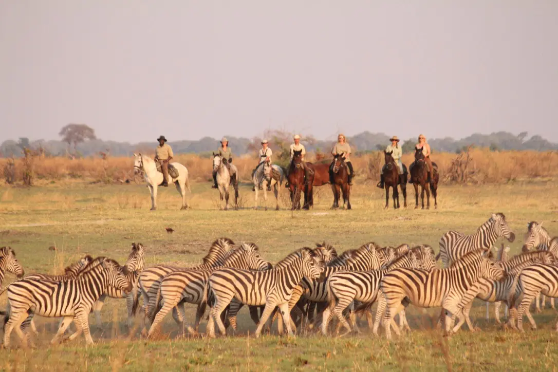 safari equestre botswana