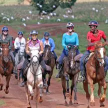 horseback riding tours vermont