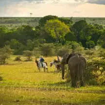 globetrotters travel horseback