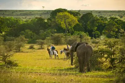 globetrotters travel horseback