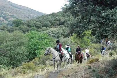 horseback riding tours vermont