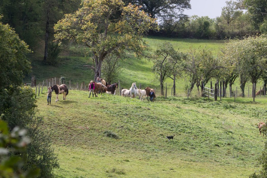 Domaine des Garennes-horseback riding tour in France by Equitours