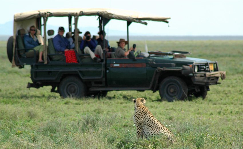 Africa Ride: Lake Natron and the Serengeti - Equitours - Horseback ...